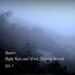 Nature: Night Rain and Wind Sleeping Sounds Vol. 1 - Rain Sound Experience