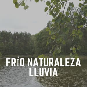 Frío Naturaleza Lluvia - Lluvia para un sueño profundo