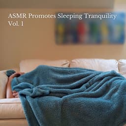ASMR Promotes Sleeping Tranquility Vol. 1 - Music for Sleep