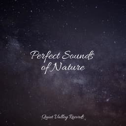 Perfect Sounds of Nature - Rainfall