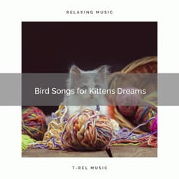 Bird Songs for Kittens Dreams - Music for Relaxing Cats