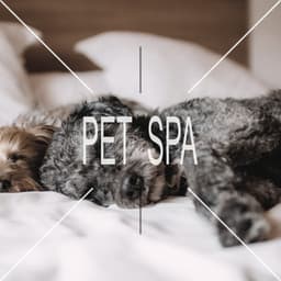 Pet Spa - Pet Care Music Therapy