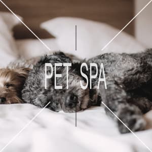Pet Spa - Pet Care Music Therapy