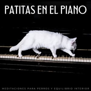 Patitas En El Piano: Meditaciones Para Perros Y Equilibrio Interior - Tranquilo Piano Jazz Relax