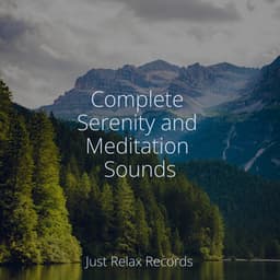 Complete Serenity and Meditation Sounds - Happy Baby Lullaby Collection