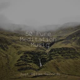 50 Pure Meditation Music - Deep Sleep Relaxation