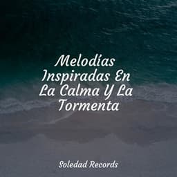 Melodías Inspiradas En La Calma Y La Tormenta - Musica Relajante Specialistas