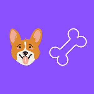 Feelings for Dogs and Dreams - Musica Per Cani