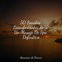 50 Sonidos Reconfortantes Para Un Masaje De Spa Definitivo - Sonido de lluvia