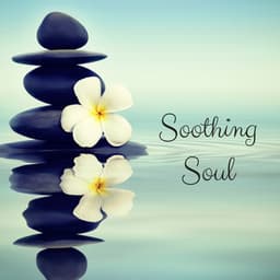 Soothing Soul - Elton Ames