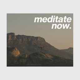Meditate Now - Wellness