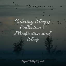 Calming Sleepy Collection | Meditation and Sleep - Rainfall