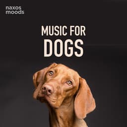 Music for Dogs - Johann Sebastian Bach