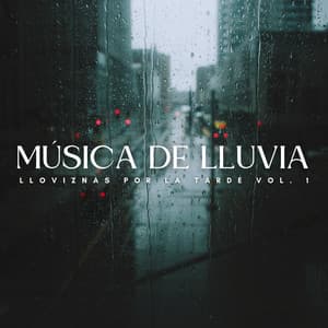 Música De Lluvia: Lloviznas Por La Tarde Vol. 1 - La naturaleza llama