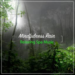 15 Mindfulness Rain and Nature Sounds - Relaxing Spa Music - Calming Rainforest Sounds