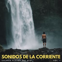 Sonidos De La Corriente: Calmos Flujos Del Río Vol. 1 - Sonido del Agua Ruido Blanco Natural