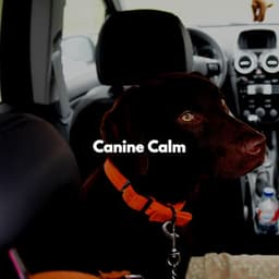 Canine Calm - Dog Sleeping Soundtracks Deluxe