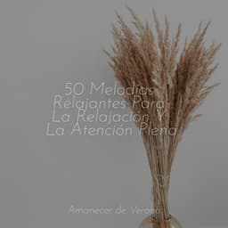 50 Melodías Relajantes Para La Relajación Y La Atención Plena - Musica para Meditar