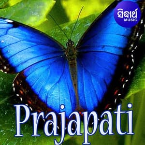 Prajapati - anonymous