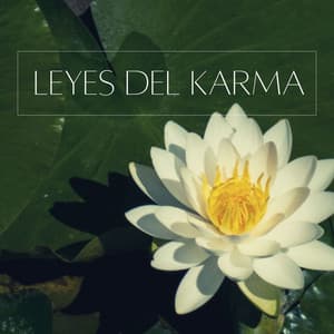 Leyes del Karma: Música de Calma y Limpieza Espiritual, Canciones Budistas - Relajacion Ariel