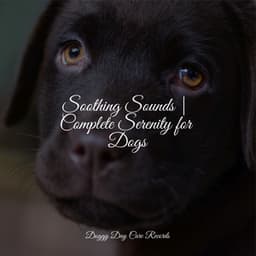 Soothing Sounds | Complete Serenity for Dogs - Music for Calming Dogs