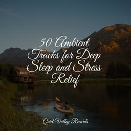 50 Ambient Tracks for Deep Sleep and Stress Relief - Instrumental