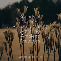 Sounds of Nature | Relaxing Music | Affirming Ambient Melodies - Bedtime Baby