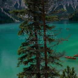 50 Melodías Suaves Para Un Spa Zen - Lullabies for Deep Meditation