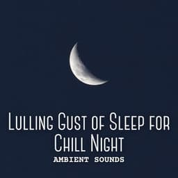 Ambient Sounds: Lulling Gust of Sleep for Chill Night - Weather Sounds
