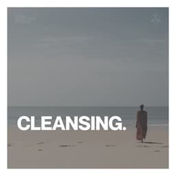 Cleansing - Anti Stress Music Zone