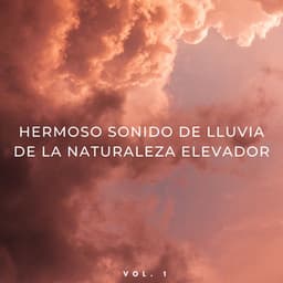 Hermoso Sonido De Lluvia De La Naturaleza Elevador Vol. 1 - Lluvia en España
