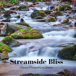 Streamside Bliss: Flowing Tranquility in Quintet - Snow and Creeks