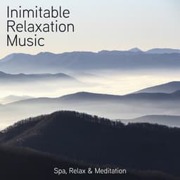 Inimitable Relaxation Music - Just Relax Music Universe