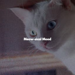 Meow-sical Mood - Musica de Piano Ambiente