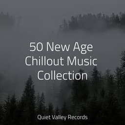 50 New Age Chillout Music Collection - Lullabies for Deep Meditation