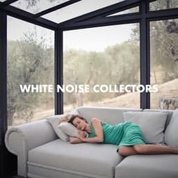 Best White Noise in the Home - White Noise Collectors