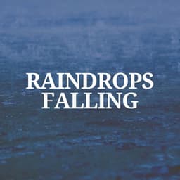 Raindrops Falling - Always Raining