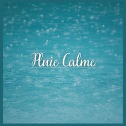 Pluie Calme - Sons De Pluie
