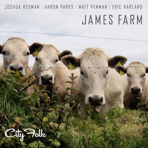 City Folk - Joshua Redman
