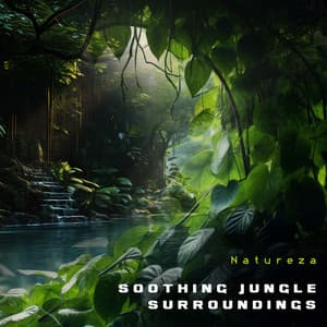 Soothing Jungle Surroundings - Natureza