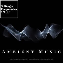 Solfeggio 528 Hz for Positive Energy & Inner Peace - Solfeggio Frequencies 528Hz