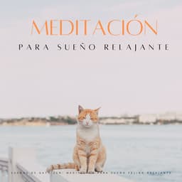 Sueños De Gato Zen: Meditación Para Sueño Felino Relajante - Piano de salón suave