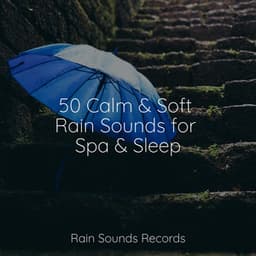 50 Calm & Soft Rain Sounds for Spa & Sleep - New Age