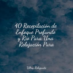 40 Recopilación de Enfoque Profundo y Río Para Una Relajación Pura - Meditação Yoga