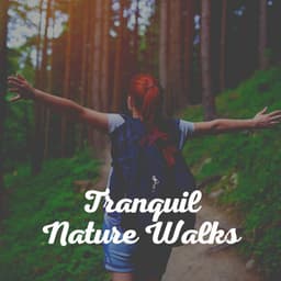 Tranquil Nature Walks - Nature