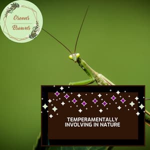 Temperamentally Involving in Nature - Calm Music