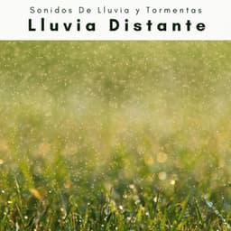 A Lluvia Distante - Sonidos De Lluvia y Tormentas