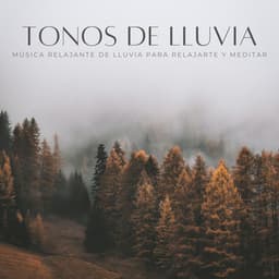 Tonos De Lluvia: Música Relajante De Lluvia Para Relajarte Y Meditar - Sonido de lluvia