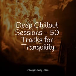 Piano Melodies for the Mind and Soul - Study Music And Piano Music