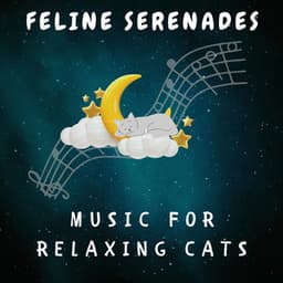 Feline Serenades: Music for Relaxing Cats - Music for Cats Peace